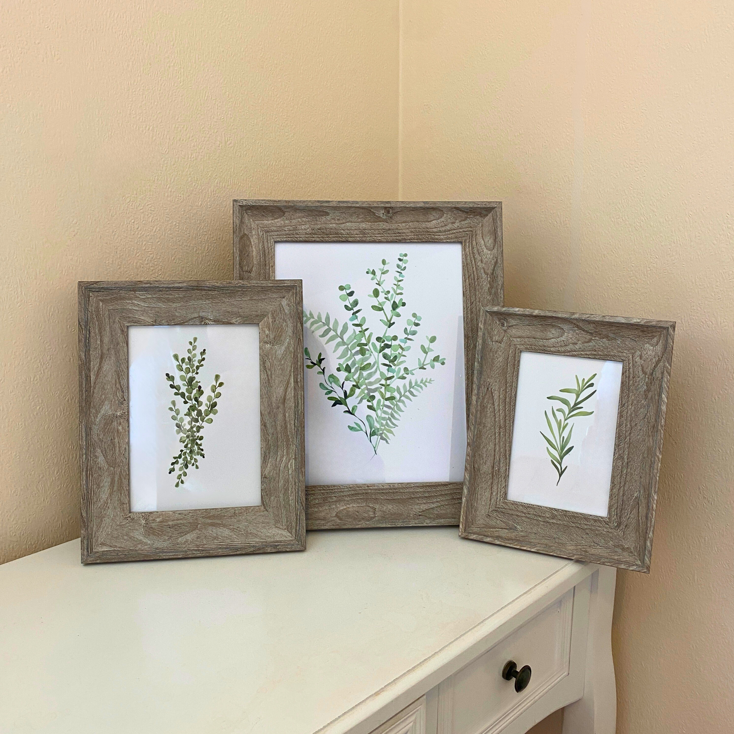 Three wooden-framed prints of greenery on a white surface against a beige wall.
